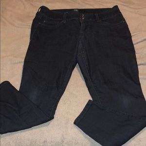 Torrid Jeans 12 Short